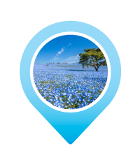Pin HITACHI SEASIDE PARK