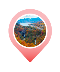 Pin NIKKO