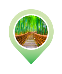 Pin ARASHIYAMA