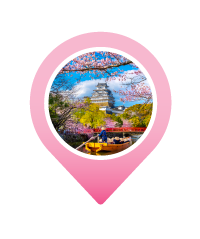 Pin HIMEJI CASTLE