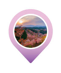 Pin MT. YOSHINO