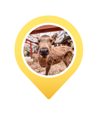 Pin NARA PARK