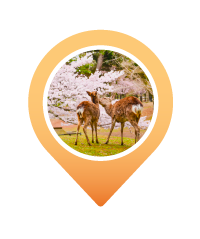 Pin NARA PARK