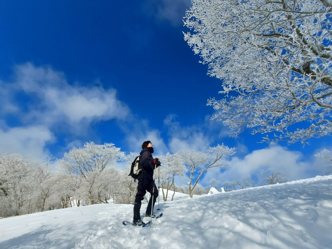 Kintetsu Railway Monthly News in Febuary 2026