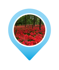 Pin KINCHAKUDA MANJUSHAGE PARK