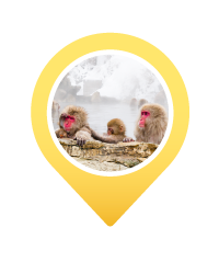 Pin SNOW MONKEY PARK