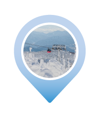 Pin ZAO SNOW MONSTER FOREST