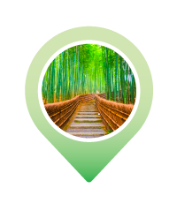 Pin ARASHIYAMA