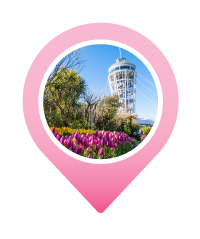 Pin ENOSHIMA ISLAND