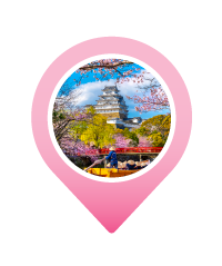 Pin HIMEJI CASTLE