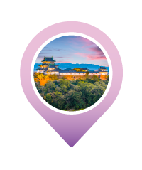 Pin WAKAYAMA CASTLE